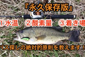 ブラックバス 日本の法律 飼育に関してまとめ 飼育禁止 リリースは Art Fishing