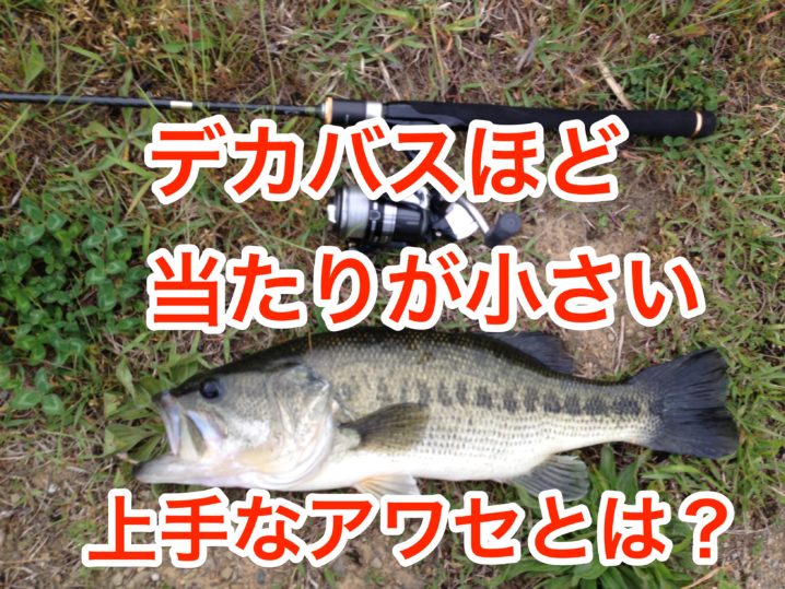 ブラックバス 日本の法律 飼育に関してまとめ 飼育禁止 リリースは Art Fishing