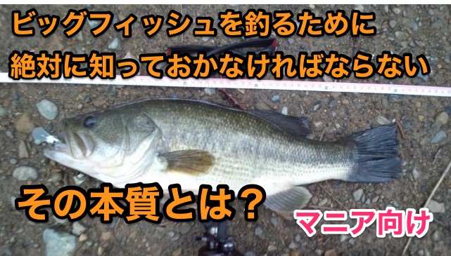 なぜ ガルプは他のワームより批判されるのか バークレーガルプを使い熟す方法とオススメのガルプ汁保管 Art Fishing